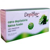 HORTELÃ - CERA QUENTE DE BAIXA FUSÃO 1KG