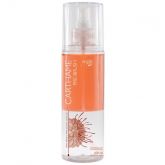 - CARTHAME PRÉ-BRUSH 200ML